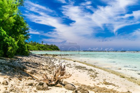 Tropische Küste auf den Cook Islands. Paradiesische Destination Rarotonga. Tropical Island Rarotonga. Tropischer Felsstrand mit grünen Bäumen. Azurblauer Himmel mit Wolken an einem sonnigen Tag. Blaues Meer mit kristallklarem Wasser.