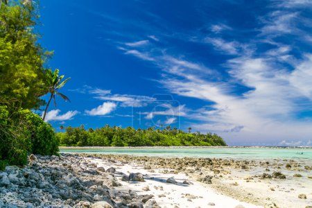 Tropische Küste auf den Cook Islands. Paradiesische Destination Rarotonga. Tropical Island Rarotonga. Tropischer Felsstrand mit grünen Bäumen und Palmen. Azurblauer Himmel mit Wolken an einem sonnigen Tag. Blaues Meer mit kristallklarem Wasser.