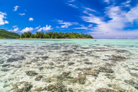 Tropical bay, paradise destination on the Cook Islands. Tropical lagoon in Rarotonga, coast with corals. Azure blue sky with clouds and turquoise water during sunny day. Partly cloudy. Blue sea with crystal clear water. Palm trees in distance.