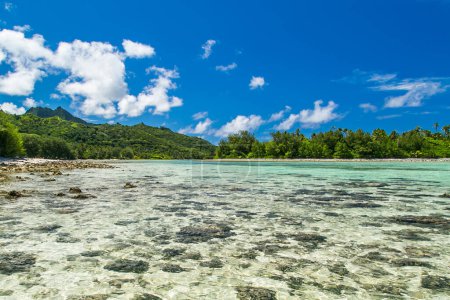 Tropische Bucht, paradiesisches Ziel. Tropische Lagune in Rarotonga, Cook Islands. Küste mit Korallen. Azurblauer Himmel mit Wolken und türkisfarbenem Wasser an sonnigen Tagen. Leicht bewölkt. Blaues Meer mit kristallklarem Wasser. Palmen, Hügel im Hintergrund.