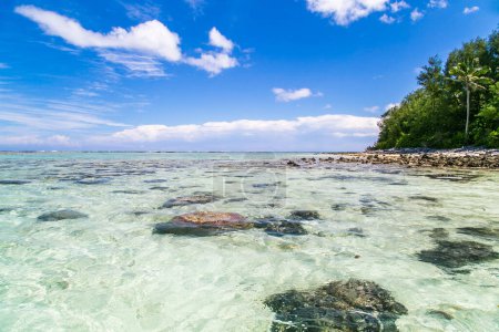 Tropische Bucht, paradiesische Destination auf den Cook Islands. Tropische Lagune in Rarotonga, Küste mit Korallen. Azurblauer Himmel mit Wolken und türkisfarbenem Wasser an sonnigen Tagen. Leicht bewölkt. Blaues Meer mit kristallklarem Wasser. Palmen in der Ferne.