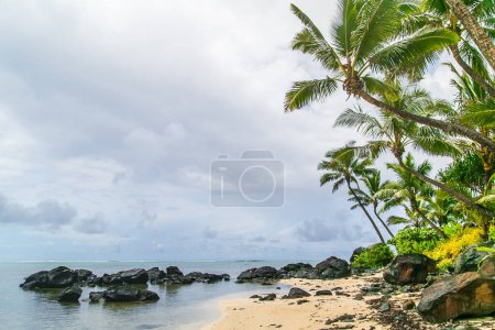 Tropische Bucht, paradiesische Destination auf den Cook Islands. Felsiger Strand mit Kokospalmen auf der tropischen Insel Rarotonga. Küste mit Palmen. Große Steine am Strand.