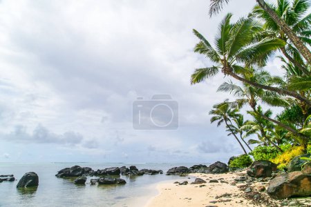 Tropische Bucht, paradiesische Destination auf den Cook Islands. Felsiger Strand mit Kokospalmen auf der tropischen Insel Rarotonga. Küste mit Palmen. Große Steine am Strand.