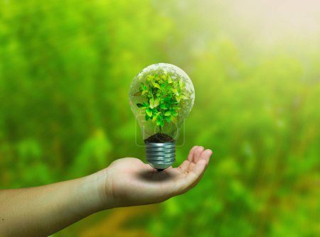 Foto de Light bulb with green plant in hand on blurred nature background. Ecology concept. green energy one hand hold bulb light with tree inside - Imagen libre de derechos