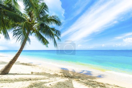 Téléchargez les photos : Plage exotique idyllique avec un palmier - en image libre de droit