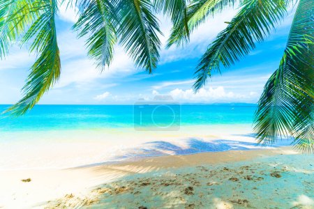 Photo for Beautiful beach with palm trees at a tropical island - Royalty Free Image