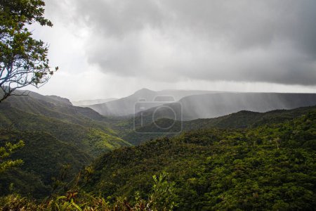 Foto de Parque Nacional de las Gargantas del Río Negro, Isla Mauricio, Océano Índico, África - Imagen libre de derechos