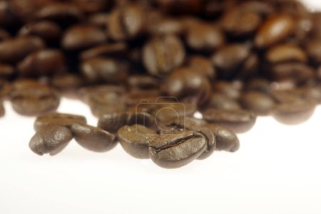Photo for Coffee Beans on a white Background - Royalty Free Image