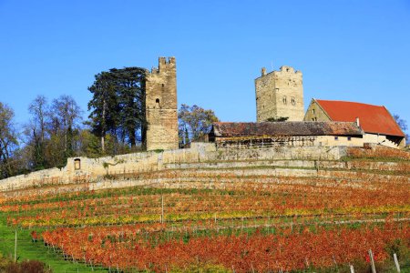 Photo for The Castle Neipperg near Heilbronn, Germany, Europe - Royalty Free Image