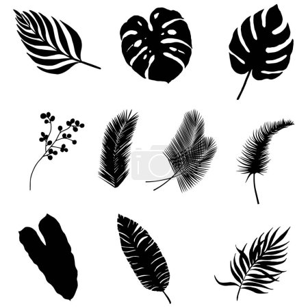 Téléchargez les photos : Ensemble de silhouettes de feuilles isolées sur fond blanc - en image libre de droit