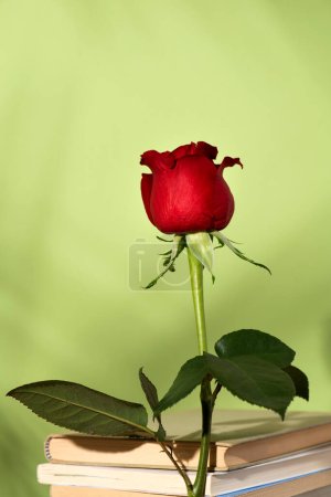 photo for sant Jordi's day, international book day and public holiday in catalonia, Image of a rose on a pile of books on a green background with shadows, poster copy space