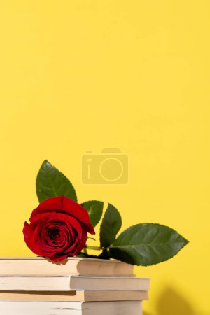Foto de Foto para el día del sant Jordi, el día internacional del libro y el día festivo en catalonia, imagen de una rosa sobre un montón de libros sobre un fondo amarillo, espacio de copia de póster - Imagen libre de derechos