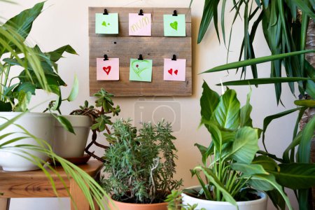 Photo for Post it on coloured wood with the word mum and hearts, notes around plants for mother's day, gift of plants and flowers to celebrate mum's day - Royalty Free Image