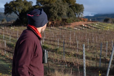 man in the field with binoculars hanging down, dressed in mountain clothes, brown trousers, maroon fleece and neckerchief on his head. Looking at a field of vines