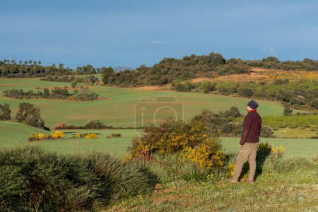 man looking unrecognisable looking at the countryside dressed in mountain clothes, brown trousers, maroon fleece and neckerchief on his head. Field full of flowering gorse and green cereal growing fresh.
