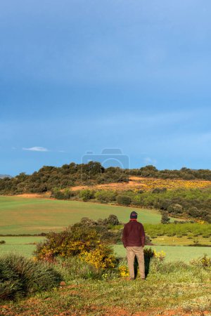 man looking unrecognisable looking at the countryside dressed in mountain clothes, brown trousers, maroon fleece and neckerchief on his head. Field full of flowering gorse and green almond trees with new leaves and cereal growing fresh.