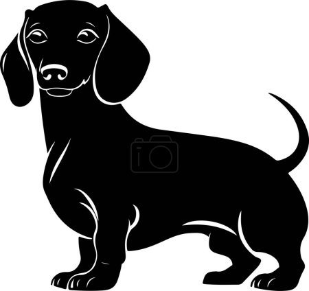 Illustration for Dachshund, solid black silhouette, vector Illustration. - Royalty Free Image