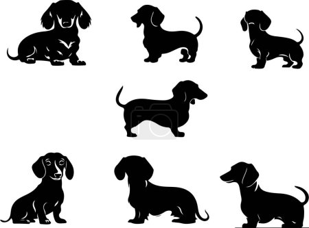 Illustration for Dachshund, solid black silhouette, vector Illustration. - Royalty Free Image
