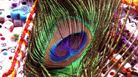 Foto de Primer plano de plumas de pavo real de colores. - Imagen libre de derechos