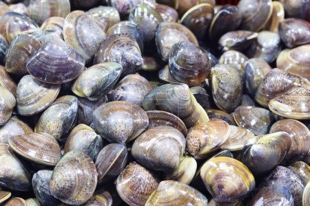 Fresh clams for sale at a seafood market.