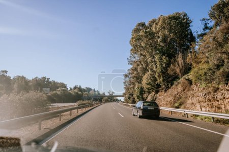 Foto de Santa Margarita, España - 24 de enero de 2024 - escena del camino diurno desde un automóvil, mostrando una carretera bordeada de árboles y otro coche a la vista - Imagen libre de derechos