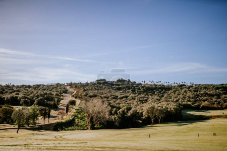 Photo for Sotogrante, Spain - January 25, 2024 - Golf course with a winding road, grassy fields, trees, and palm trees under a clear blue sky. - Royalty Free Image