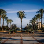 Sotogrante, Spain - January 27, 2024 - Palm tree-lined pathway leading to a building, with potted plants and blue sky above, in a well-manicured garden setting.