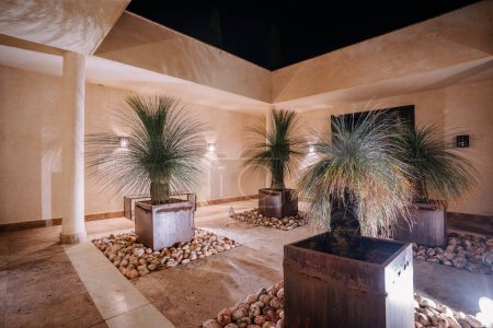 Sotogrante, España - 27 de enero de 2024 - Área del patio con grandes plantas en maceta, camino de piedra y luces de pared bajo un cielo nocturno.