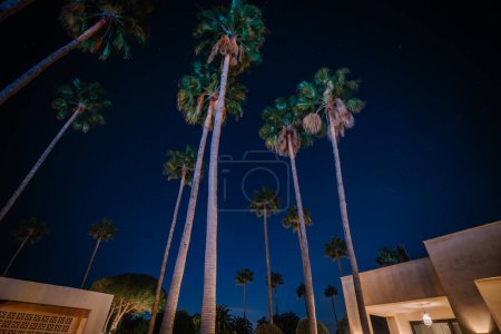 Foto de Sotogrante, España - 27 de enero de 2024 - Torre de palmeras altas sobre un edificio moderno bajo un cielo nocturno estrellado. - Imagen libre de derechos