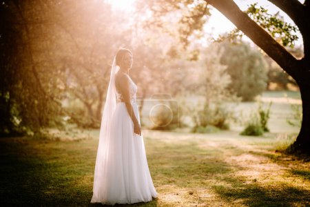 Valmiera, Latvia - July 7, 2023 - A smiling bride in a white dress with a veil stands in a sun-drenched park.