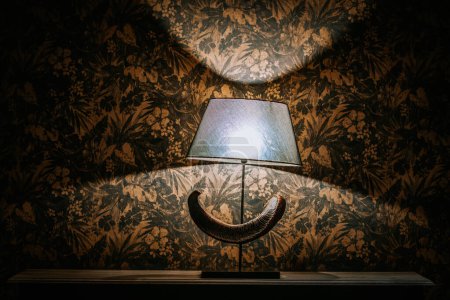 Agadir, Morocco - February 25, 2024 - A lamp with a curved base sits in front of a wall with bold floral wallpaper, creating a dramatic shadow.