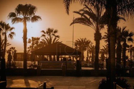 Agadir, Morocco - February 25, 2024 - a serene outdoor setting during sunset with a large gazebo and palm trees silhouetted against the glowing sky.