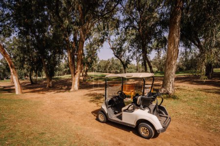 Agadir, Morocco - February 25, 2024 - A golf cart parked under eucalyptus trees on a sandy path at a golf course