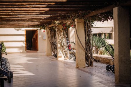 Téléchargez les photos : Agadir, Maroc - 28 février 2024- Une passerelle couverte avec des chariots de golf alignés, soutenus par des colonnes avec des plantes grimpantes, dans un cadre ensoleillé - en image libre de droit