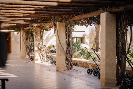 Téléchargez les photos : Agadir, Maroc - 28 février 2024- Une passerelle couverte avec des chariots de golf alignés, soutenus par des colonnes avec des plantes grimpantes, dans un cadre ensoleillé. - en image libre de droit