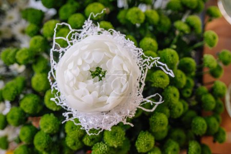 Photo for Valmiera, Latvia - March 7, 2024 - a top view of a white, flower-shaped candle surrounded by shredded paper, with green spherical flowers in the background. - Royalty Free Image
