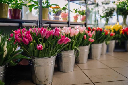 Valmiera, Lettonie - 7 mars 2024 - plusieurs seaux métalliques remplis de tulipes roses, blanches et jaunes en fleurs disposés dans une boutique de fleurs avec une fenêtre ensoleillée en arrière-plan.