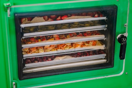 Téléchargez les photos : Une machine à lyophiliser verte avec une porte claire, montrant plusieurs plateaux remplis de différents types de fruits secs à l'intérieur. - en image libre de droit