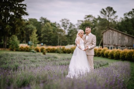 Photo for Valmiera, Latvia - Augist 13, 2023 - A bride and groom stand closely, holding hands in a field of lavender, exchanging smiles, with a rustic building and trees in the background. - Royalty Free Image