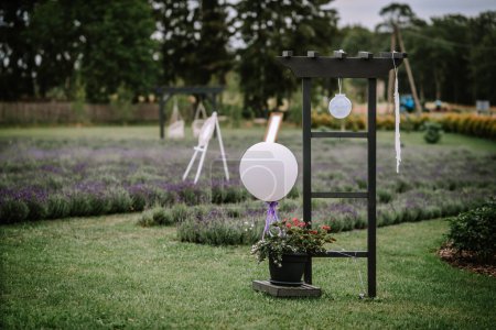 Valmiera, Latvia - Augist 13, 2023 -  a wooden frame with white balloons and flowers in a field of lavender. It is a tranquil, outdoor setting, likely for a wedding or event.