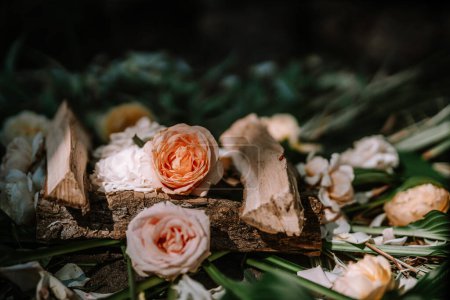 Valmiera, Latvia - July 14, 2023 - A decorative arrangement resembling a fireplace made of logs and surrounded by peach and white roses with scattered petals and green leaves.