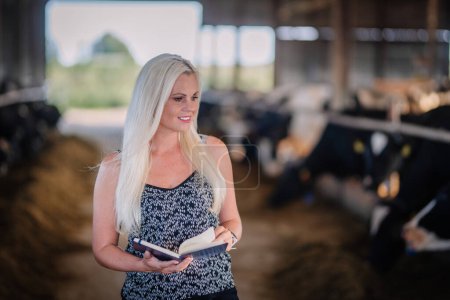 Valmiera, Latvia - August 17, 2024 - A woman with blonde hair reads a book in a dairy barn with cows in the background.