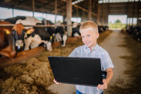 Valmiera, Lettonie - 17 août 2024 - Un jeune garçon se tient dans une grange, tenant et regardant un ordinateur portable avec des vaches en arrière-plan.