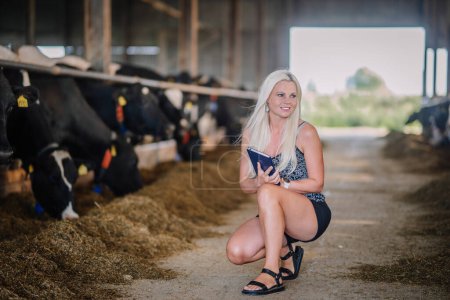 Valmiera, Latvia - August 17, 2024 - A woman is crouching in a cow barn holding a book, with cows in soft focus behind her.