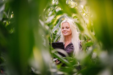 Valmiera, Latvia - August 17, 2024 - A woman with blonde hair is smiling and looking at a laptop amidst tall green cornstalks in a field.