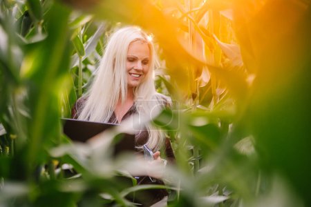 Valmiera, Latvia - August 17, 2024 - a smiling woman with long blonde hair, wearing a pink lace top and black pants, is standing in a cornfield holding a laptop.