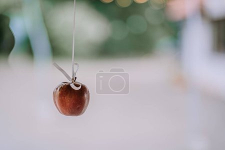 Valmiera, Lettland - 28. Juli 2024 Ein einsamer Apfel, der an einem Band vor verschwommenem Hintergrund mit Bokeh-Lichtern hängt.