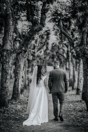 Foto de Valmiera, Letonia 28 de julio de 2023 - Una novia y un novio caminan de la mano a lo largo de un sendero arbolado, visto desde atrás, creando una escena romántica y tranquila. - Imagen libre de derechos
