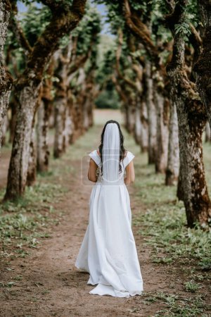Valmiera, Lettland - 28. Juli 2023 - Eine Braut von hinten schreitet einen von Bäumen gesäumten Weg entlang, ihren langen Schleier hinter sich herziehend und ihr Kleid fließend, in einer ruhigen natürlichen Umgebung.