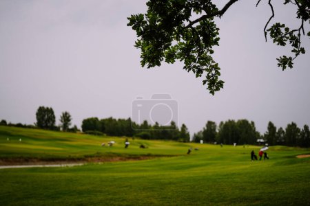 Sigulda, Latvia - July 30, 2023 - Golf course view under overcast sky, with focus on the foreground, framing a tree branch.